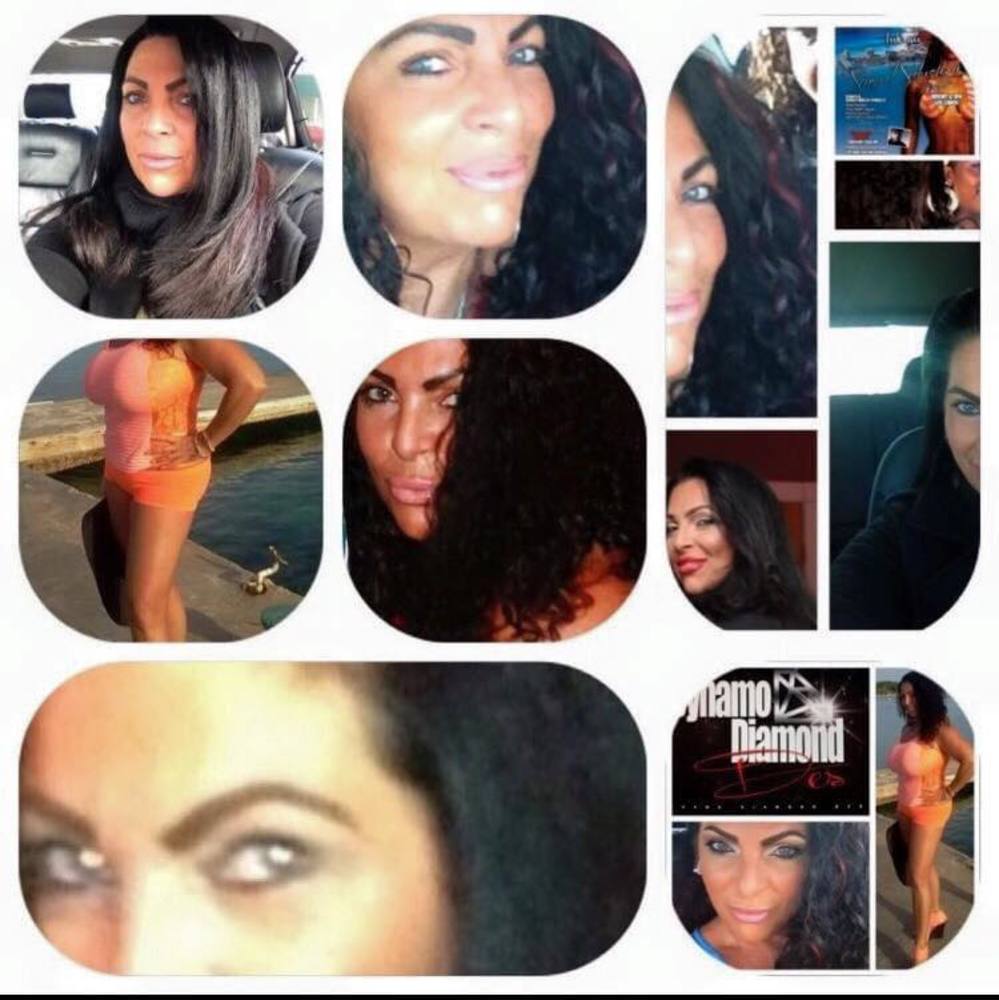 Meet your Posher, Dynamodymond